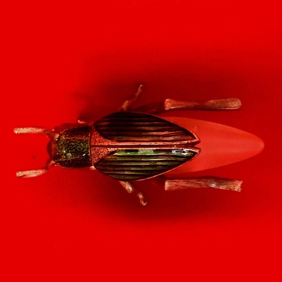 Decorative Scarab Beetle Metallic Silver Colored Body Green Textured Back - Picture 5 of 10